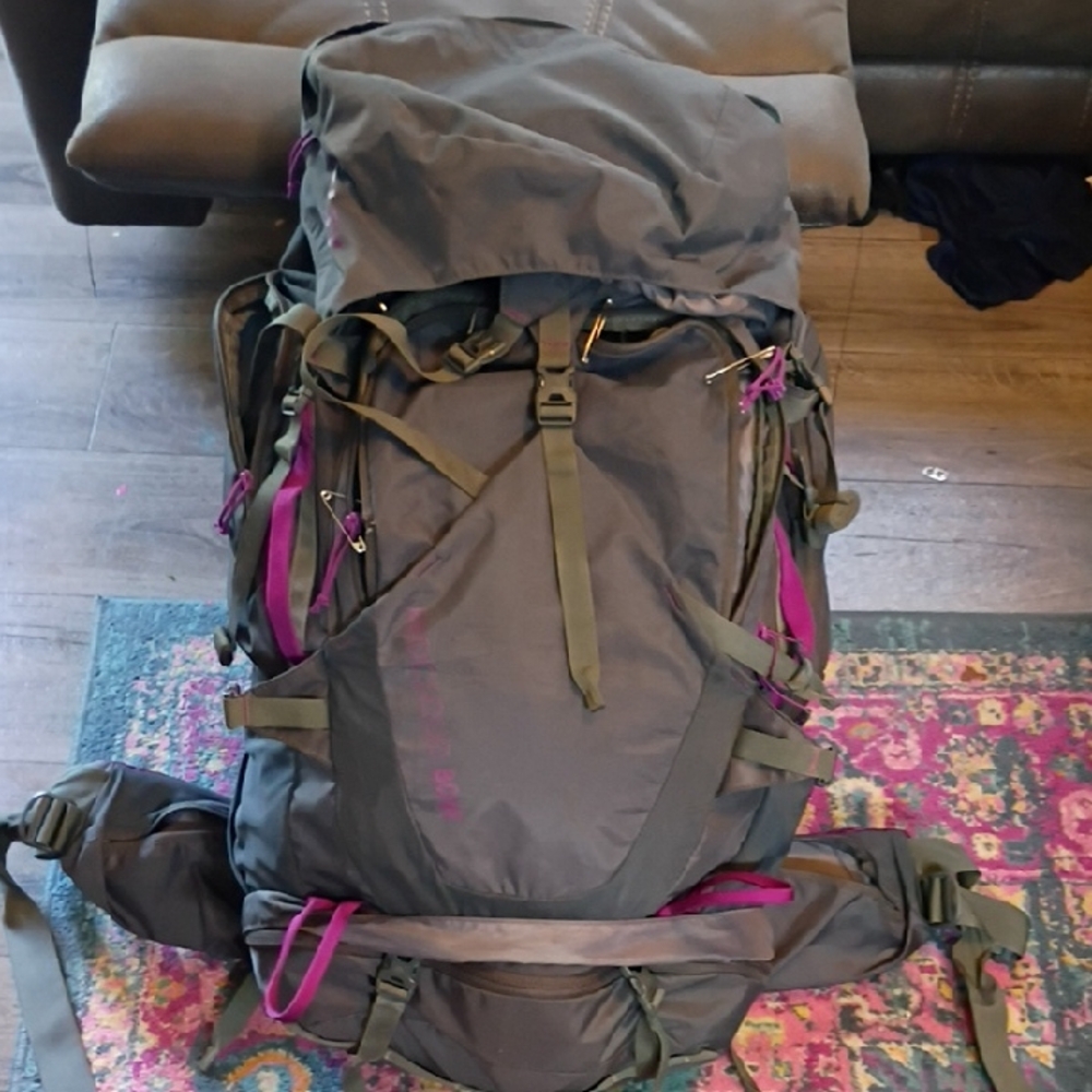 Olive and Purple Hiking Backpack